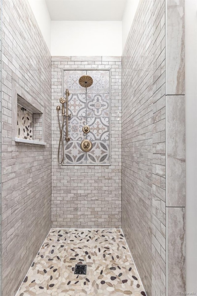 1669 Apple Valley Rd, Lyons, CO 80540 - bathroom with tiled shower