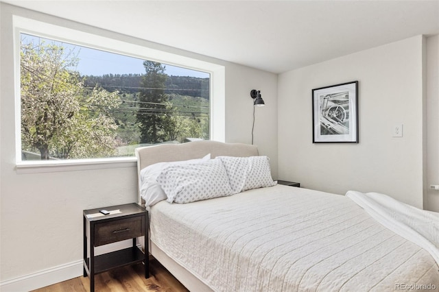 1669 Apple Valley Rd, Lyons, CO 80540 - bedroom featuring wood finished floors, multiple windows, and baseboards