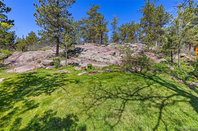 1669 Apple Valley Rd, Lyons, CO 80540 - view of grassy yard