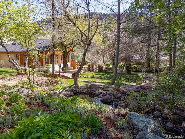 1669 Apple Valley Rd, Lyons, CO 80540 - view of yard