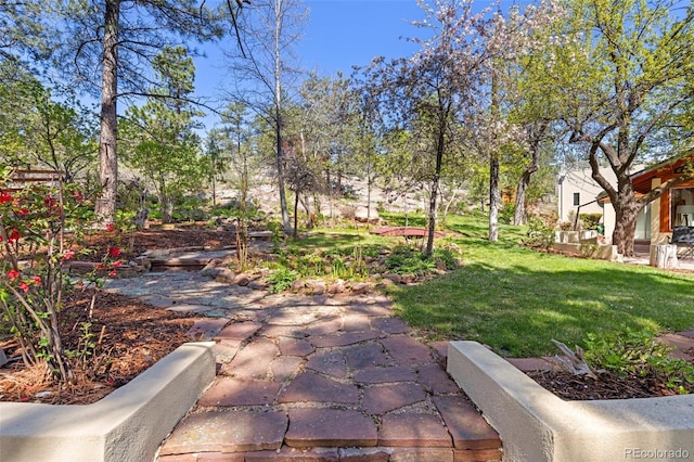 1669 Apple Valley Rd, Lyons, CO 80540 - view of green lawn
