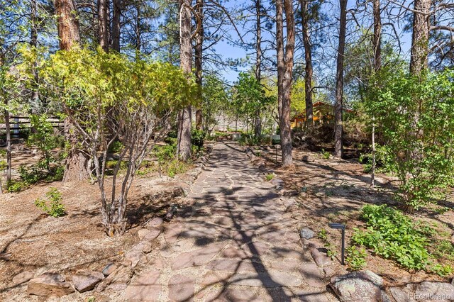 1669 Apple Valley Rd, Lyons, CO 80540 - view of asphalt driveway
