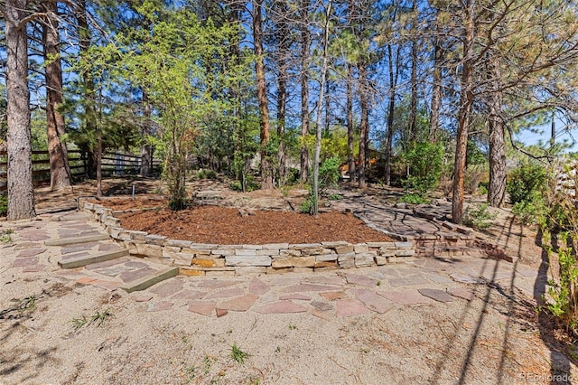 1669 Apple Valley Rd, Lyons, CO 80540 - view of yard