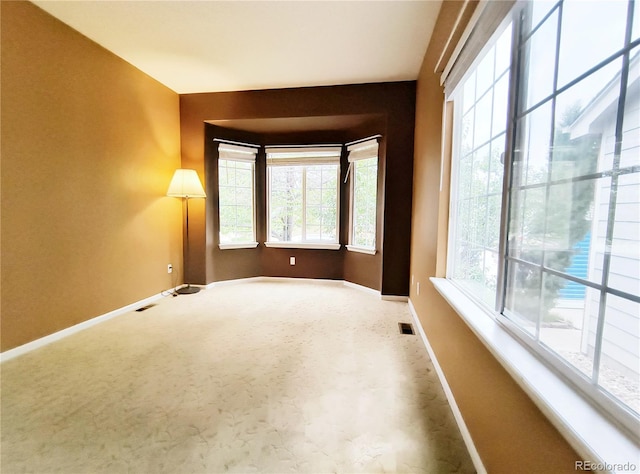 10154 Fairgate Way, Highlands Ranch, CO 80126 - unfurnished room with baseboards and plenty of natural light