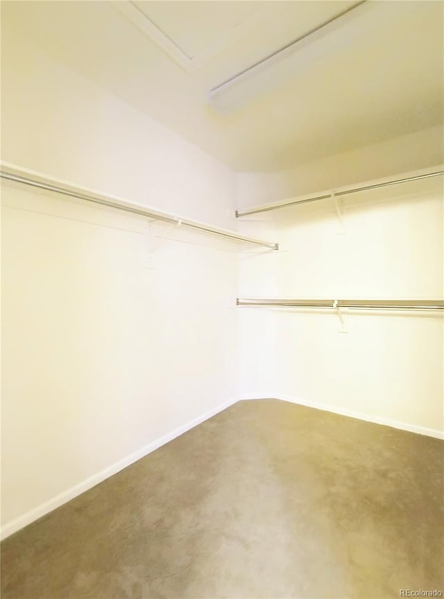 10154 Fairgate Way, Highlands Ranch, CO 80126 - view of spacious closet