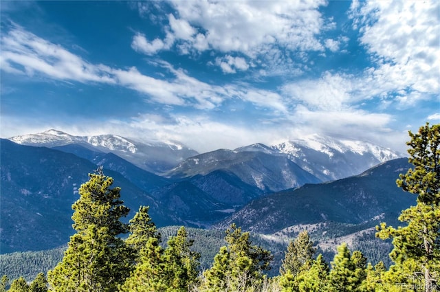 565 Bald Mountain Dr, Central City, CO 80427 - photo 40