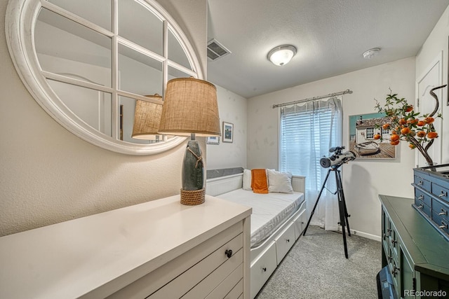 310 Chipeta Ave, Poncha Springs, CO 81242 - interior space featuring light colored carpet, baseboards, and a textured ceiling