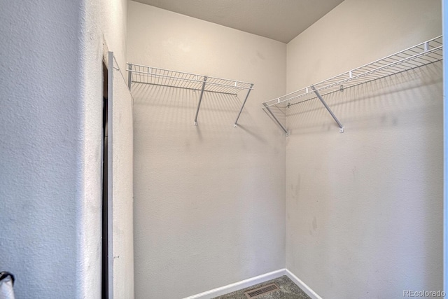 310 Chipeta Ave, Poncha Springs, CO 81242 - walk in closet with carpet floors