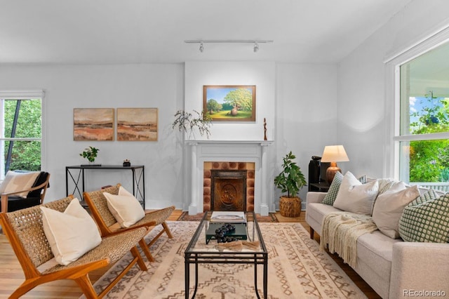living area featuring track lighting, a fireplace with flush hearth, and wood finished floors