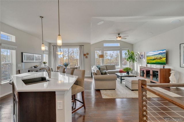 kitchen featuring a kitchen island with sink, dark wood-style flooring, a sink, open floor plan, and hanging light fixtures