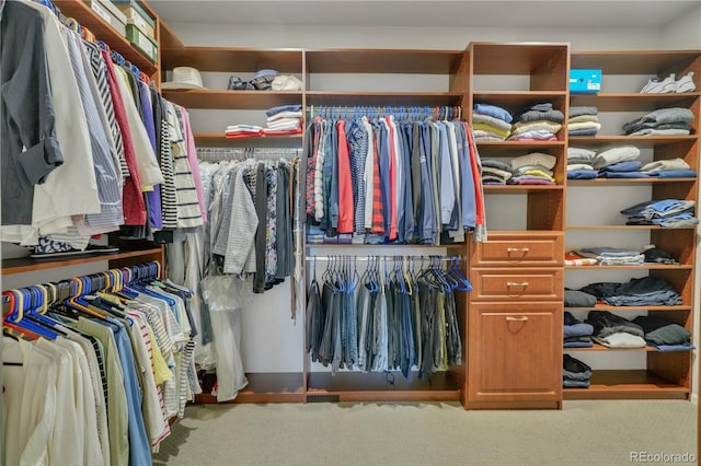 walk in closet featuring light carpet