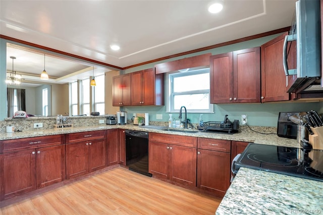 kitchen featuring sink, light wood-type flooring, a tray ceiling, black dishwasher, and pendant lighting