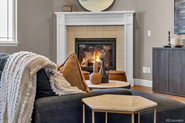 1721 Wingfeather Ln, Castle Rock, CO 80108 - detailed view of wood finished floors and a fireplace