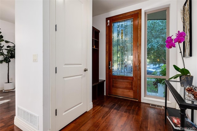 foyer featuring dark hardwood / wood-style floors and a wealth of natural light