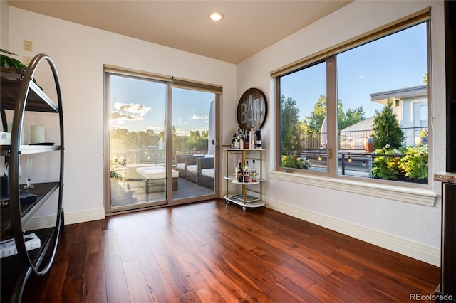 entryway featuring dark hardwood / wood-style flooring and a healthy amount of sunlight