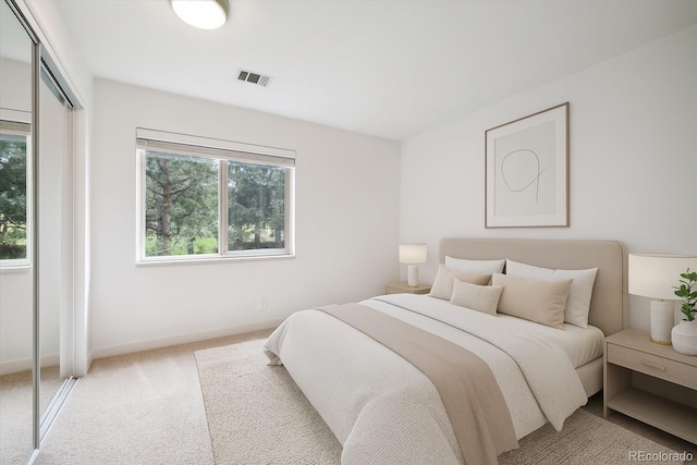 29656 Buffalo Park Rd Unit 208, Evergreen, CO 80439 - bedroom with carpet and a closet
