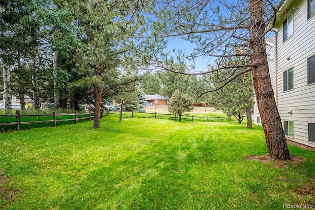 29656 Buffalo Park Rd Unit 208, Evergreen, CO 80439 - view of yard