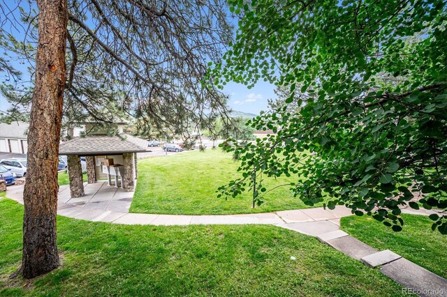 29656 Buffalo Park Rd Unit 208, Evergreen, CO 80439 - view of grassy yard