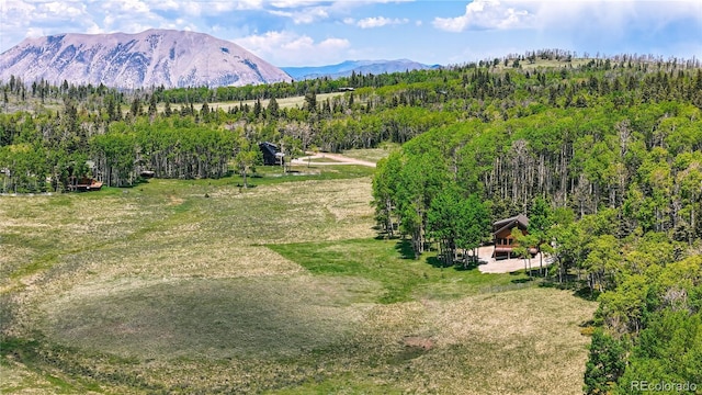 2474 Wendt Ln, Fort Garland, CO 81133 - view of mountain backdrop with a forest