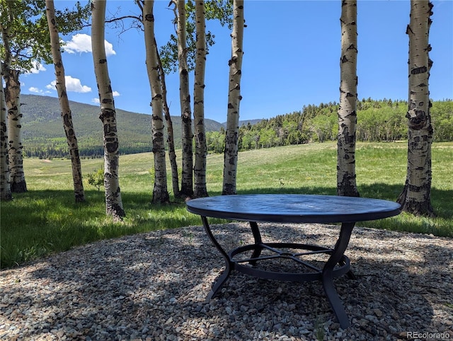 2474 Wendt Ln, Fort Garland, CO 81133 - view of grassy yard with a mountain view