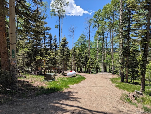 2474 Wendt Ln, Fort Garland, CO 81133 - view of road featuring a forest view
