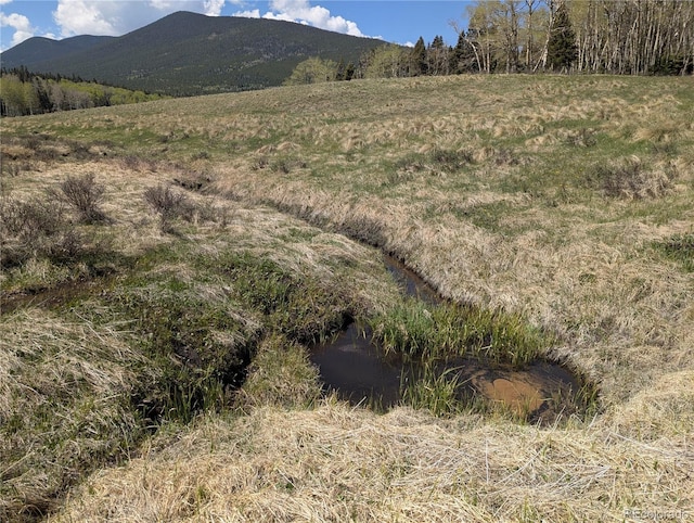 2474 Wendt Ln, Fort Garland, CO 81133 - view of mountain backdrop