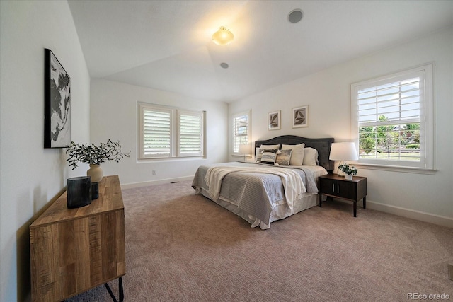 10632 Star Thistle Ct, Highlands Ranch, CO 80126 - photo 15