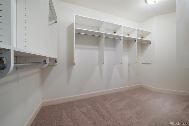 10632 Star Thistle Ct, Highlands Ranch, CO 80126 - photo 20