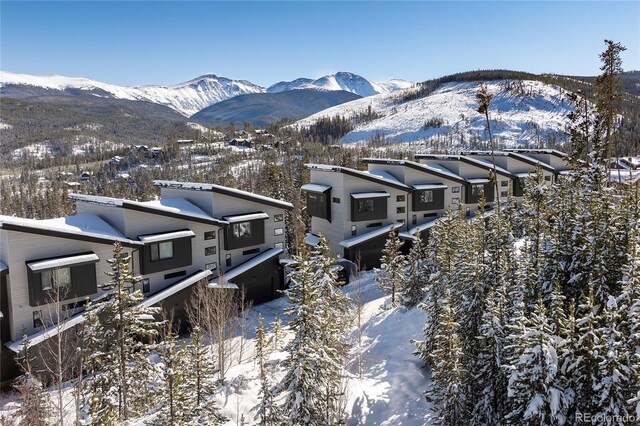 579 Lake Trl, Winter Park, CO 80482 - photo 7