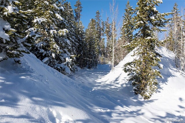 579 Lake Trl, Winter Park, CO 80482 - photo 8