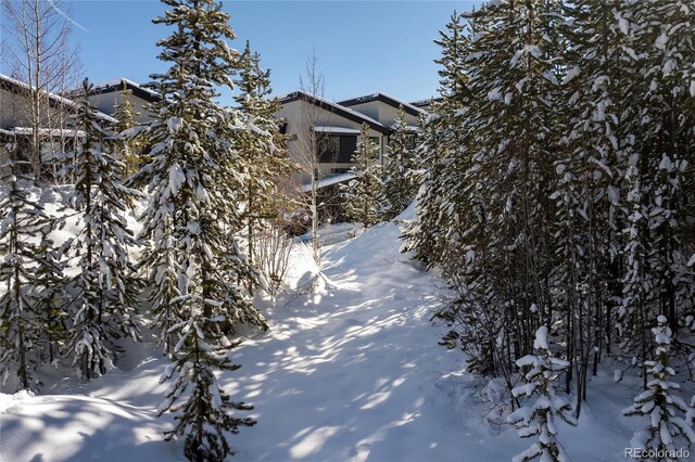 579 Lake Trl, Winter Park, CO 80482 - photo 9