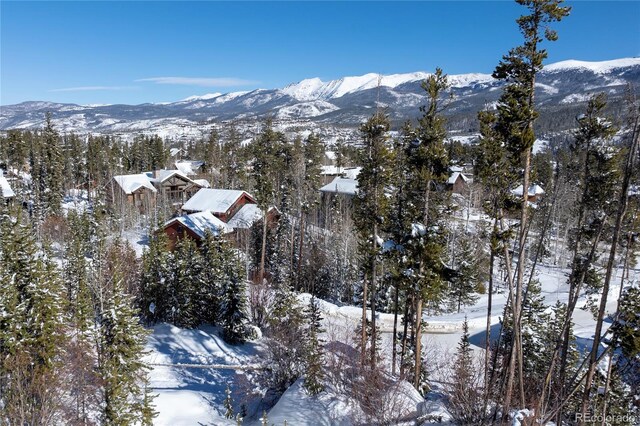 579 Lake Trl, Winter Park, CO 80482 - photo 10