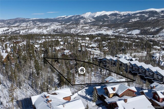 579 Lake Trl, Winter Park, CO 80482 - photo 5