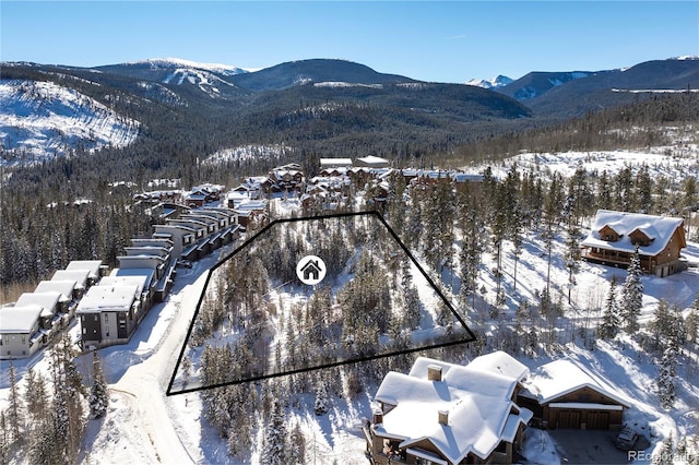 579 Lake Trl, Winter Park, CO 80482 - photo 6