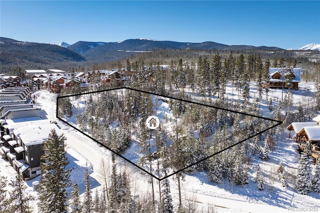 579 Lake Trl, Winter Park, CO 80482 - photo 2