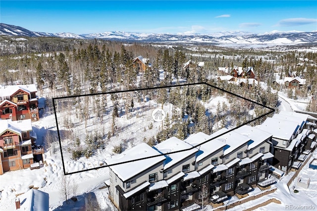 579 Lake Trl, Winter Park, CO 80482 - photo 3