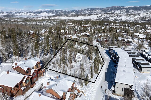 579 Lake Trl, Winter Park, CO 80482 - photo 4