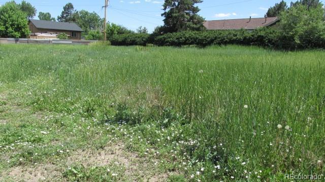 880 Vivian St, Lakewood, CO 80401 - photo 2