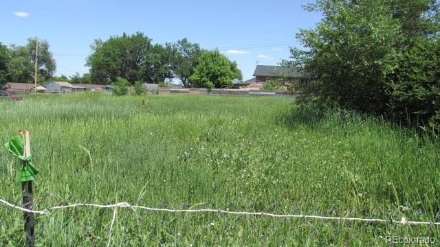 880 Vivian St, Lakewood, CO 80401 - photo 3