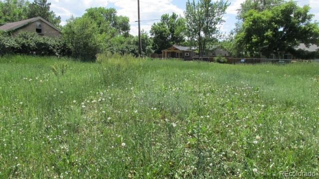 880 Vivian St, Lakewood, CO 80401 - photo 4