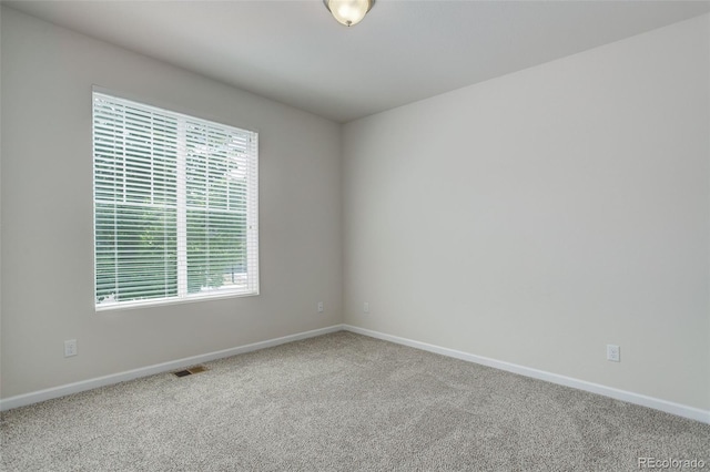 1462 Raindrop Way, Castle Rock, CO 80109 - photo 6