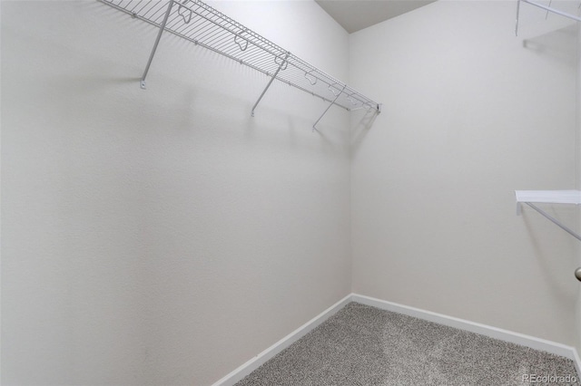 1462 Raindrop Way, Castle Rock, CO 80109 - photo 23