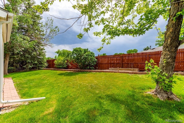 12825 Forest Way, Thornton, CO 80241 - view of fenced backyard