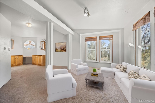 35650 Private Road 35, Kiowa, CO 80117 - living area featuring plenty of natural light and light colored carpet