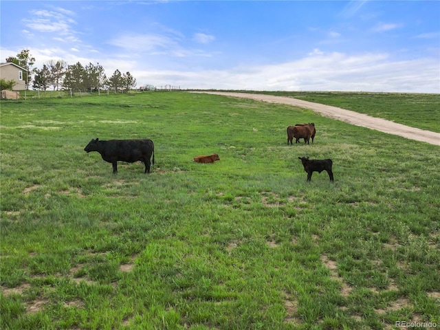 35650 Private Road 35, Kiowa, CO 80117 - view of home's community featuring a view of countryside