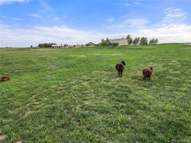 35650 Private Road 35, Kiowa, CO 80117 - view of green lawn with a view of countryside