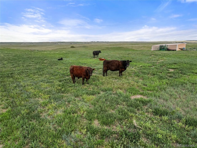 35650 Private Road 35, Kiowa, CO 80117 - view of yard with a view of rural / pastoral area