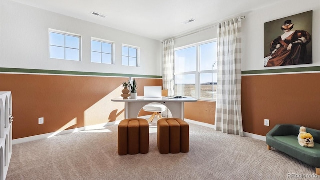 712 N Shawnee St, Aurora, CO 80018 - photo 12