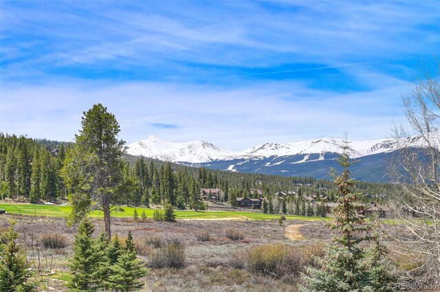 294 Gold Run Rd, Breckenridge, CO 80424 - photo 32