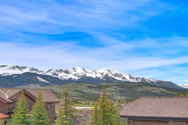 294 Gold Run Rd, Breckenridge, CO 80424 - photo 33